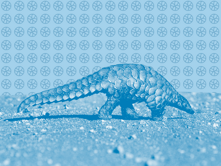 The Pangolin’s Revenge - Owen Epstein