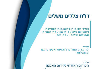 אמנת האו"ם