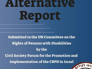 Alternative report 2020