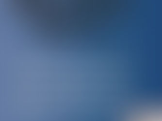 Alternative report 2020