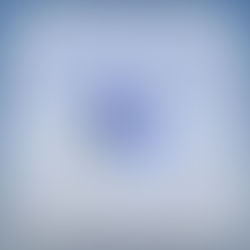 Image of a cornflower with the text 'Bucket List Wishes' and 'Grant a Wish, Make a Memory' surrounding it, symbolising hope and the mission of fulfilling meaningful wishes for individuals facing life-limiting illnesses.