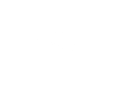 INSTA POST(1).png