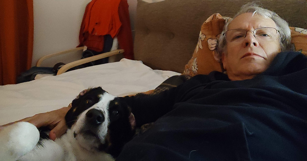 Ein Hund und Herrchen liegen faul auf dem Bett