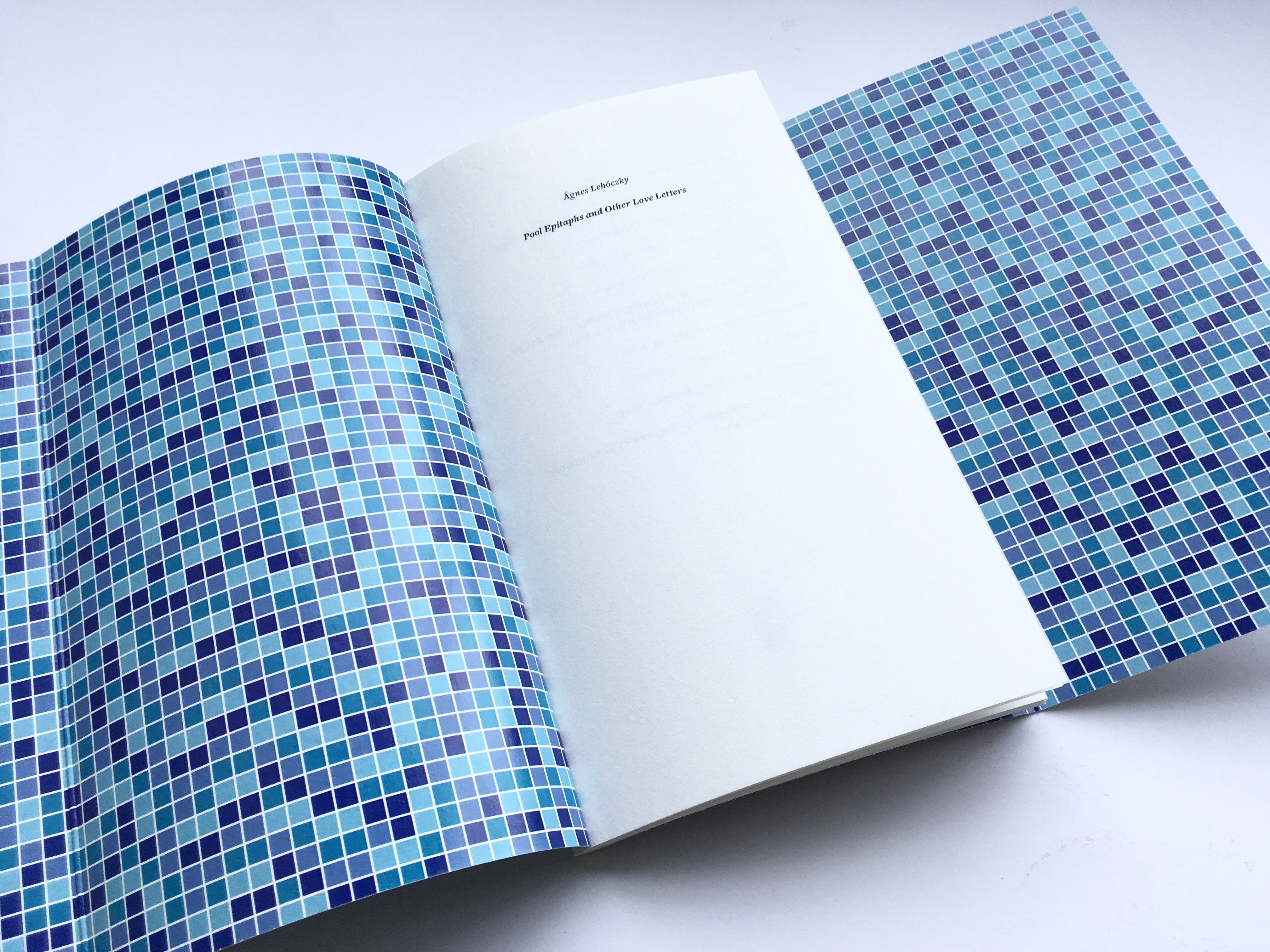 Pool Epitaphs and Other Love Letters