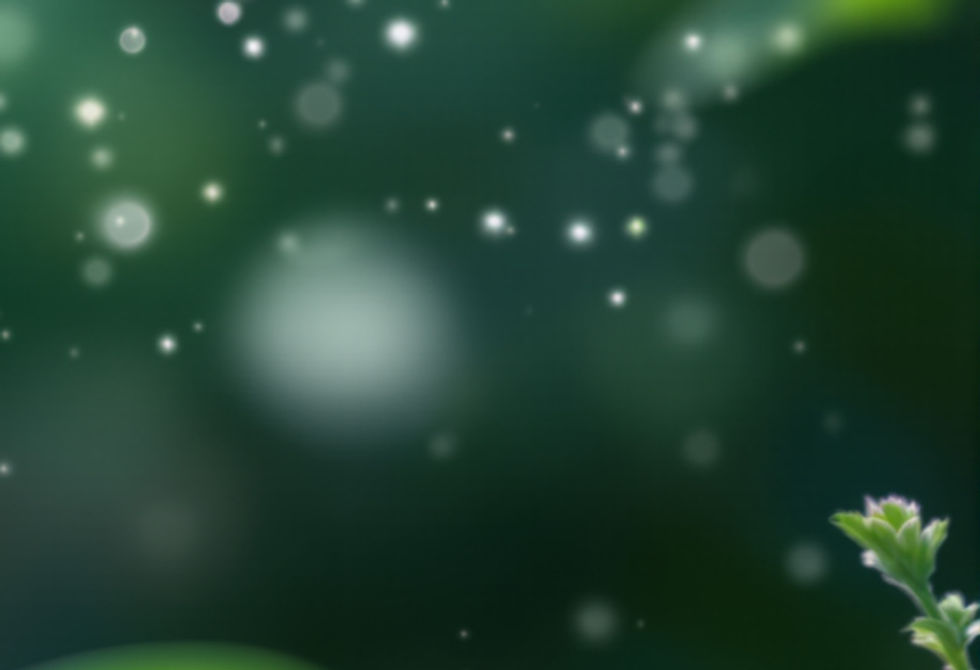 c8ef2fd1-2a6d-4f42-a3d1-a478b451e8b9_edited.jpg
