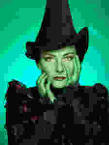 Willemijn Verkaik