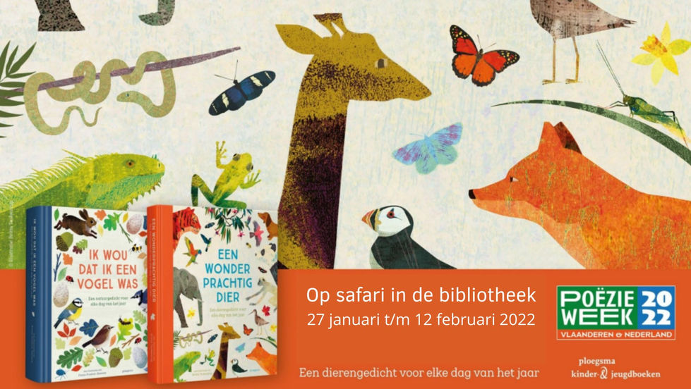 safaribi