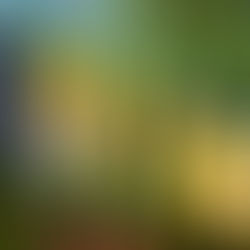 DIY Oil Cloth & Outdoor Bunting