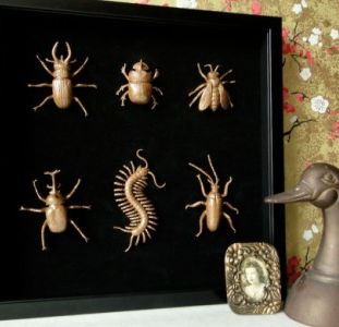 Framed Bronze Specimens