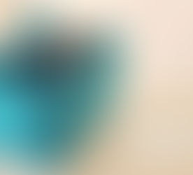 Camera Carrier Insert