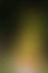 Angry Birds Fancy Dress