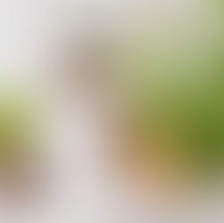 Hanging Sling Planters