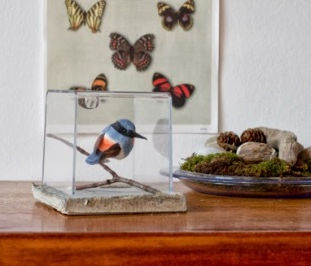 Birdie Terrarium