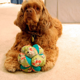 Homemade Crafts For Dogs & Cats