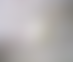 Paper Bird Decorations