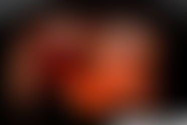 Chocolate Raspberry Moelleux