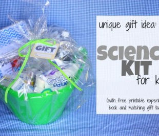 Science Kit Gift Idea