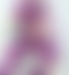 Illustrated Ornaments