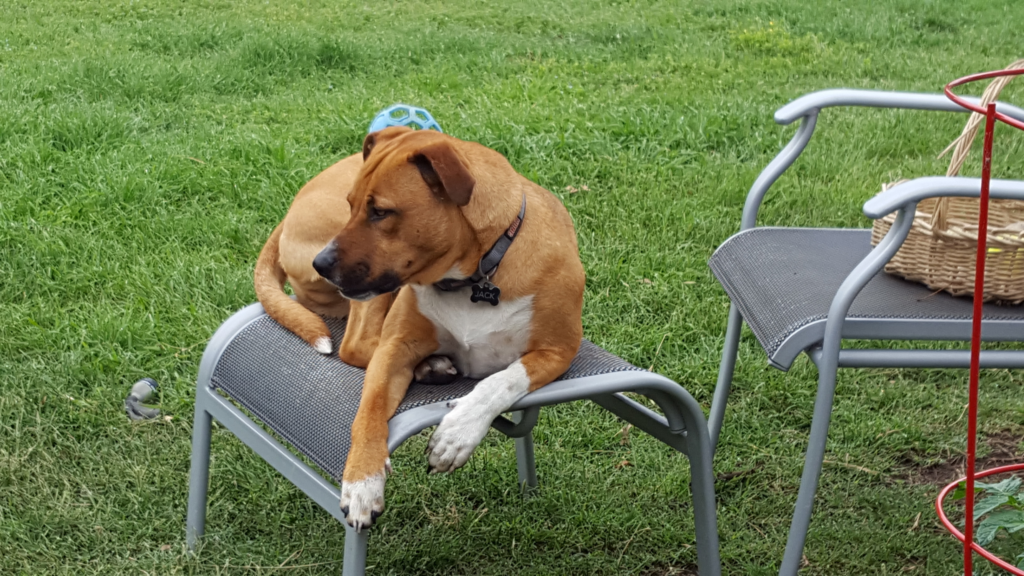 Berry Farms Melissa, TX Property Owners Association