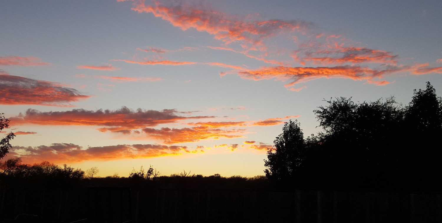 Berry Farms Melissa, TX Property Owners Association