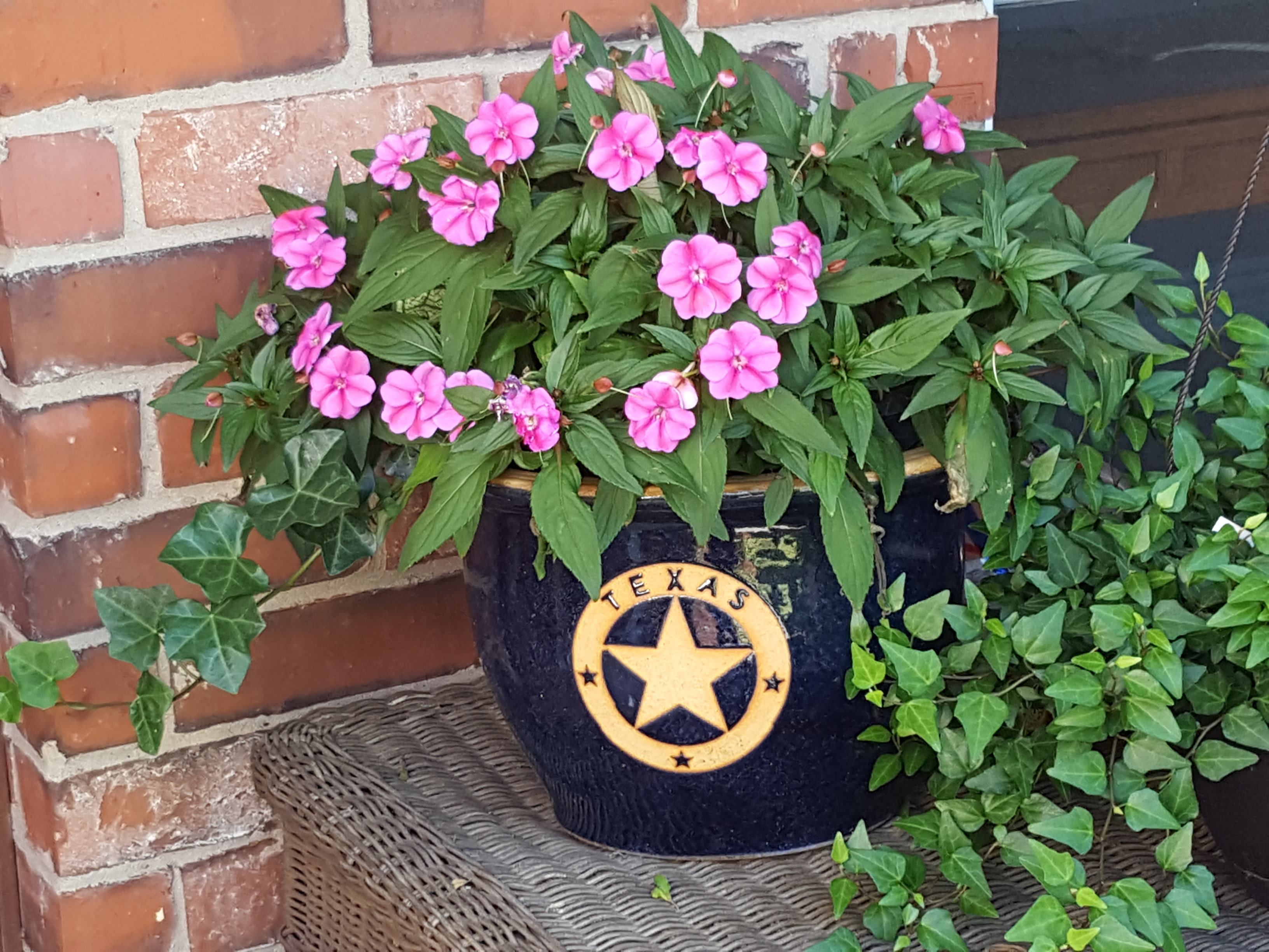 Berry Farms Melissa, TX Property Owners Association