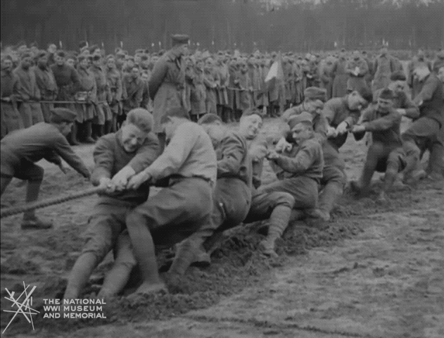 tug of war.gif