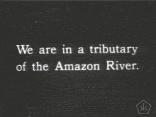 amazon river.gif