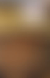 День пам'яті Ореста Субтельного. "Кожна держава у своїх підручниках історії перше, про кого писала, це про своїх героїв, а потім – про ворогів”