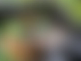 COMPOSTAGEM. (Mitos e verdades)