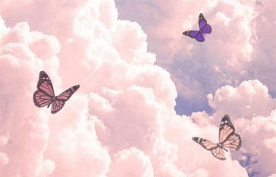 Wallpaper Butterflyes Thrasher Sfondi Farfalle In 2020 _ Papel de parede para iphone, Wall