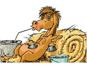 pensionCheval.png