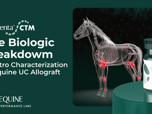 The Biologic Breakdown: In Vitro Characterization of Equine UC Allograft