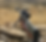 A hunting rifle with a dark stock and a mounted scope rests on a rocky outcrop in a dry, grassy field.