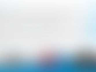 Vervulde Wensen 2011