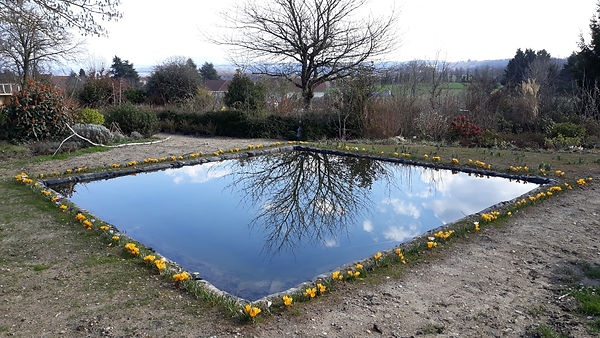 20180324_155146.jpg