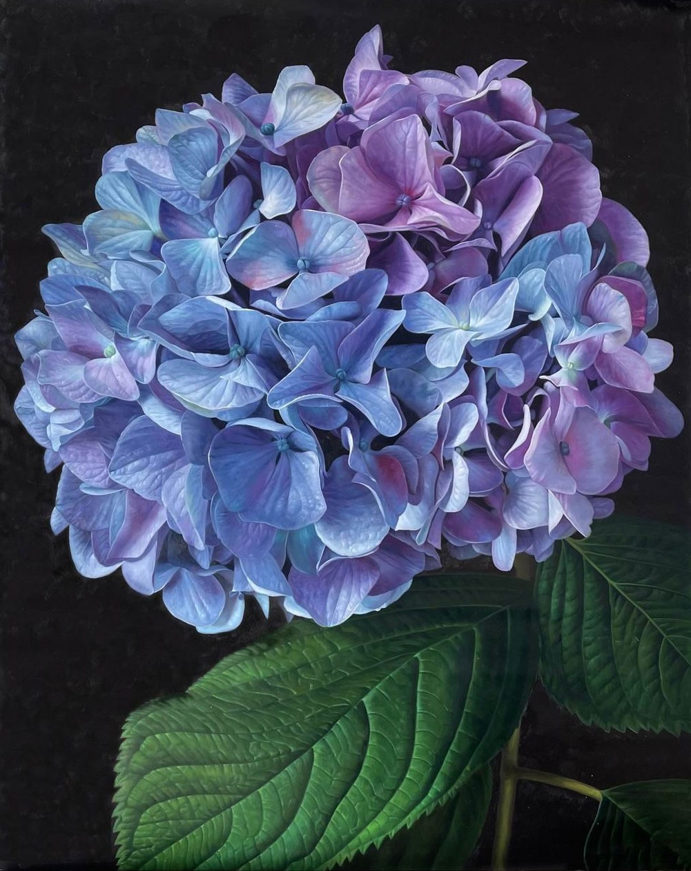 Hortensie in blau. 2025, 200x160 cm, Öl auf Leinwand