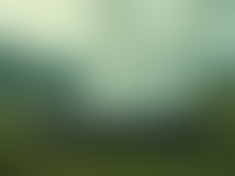 Exploring God's Covenant and Promises in Genesis 8:20-9:17