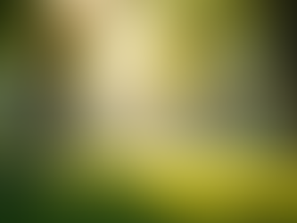 The Beauty of Rest: A Poetic Reflection on Genesis 2:1-3