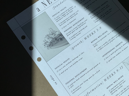 By Popular Demand! The New Era Reset Plan Freebie + Accountability Group on IG