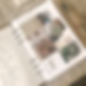 Muted Greens Aesthetic FREEBIE Vision Board