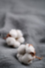 cotton-flowers (1)