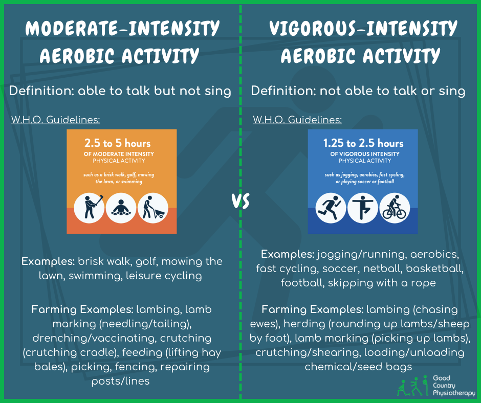 Which Is Better: Moderate-Intensity or Vigorous-Intensity Aerobic ...