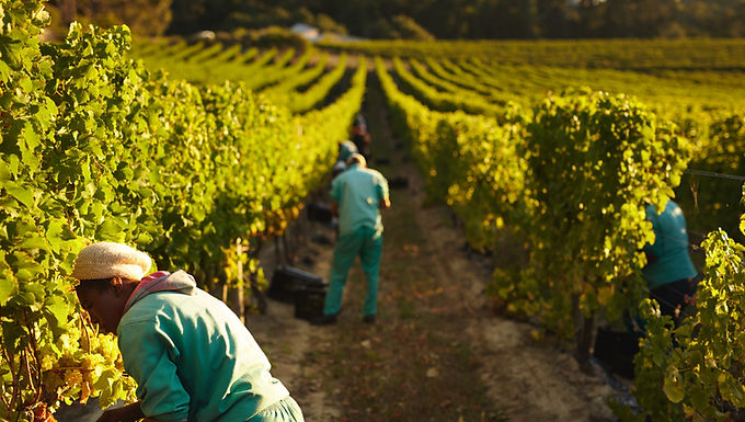 Worksite Assessments