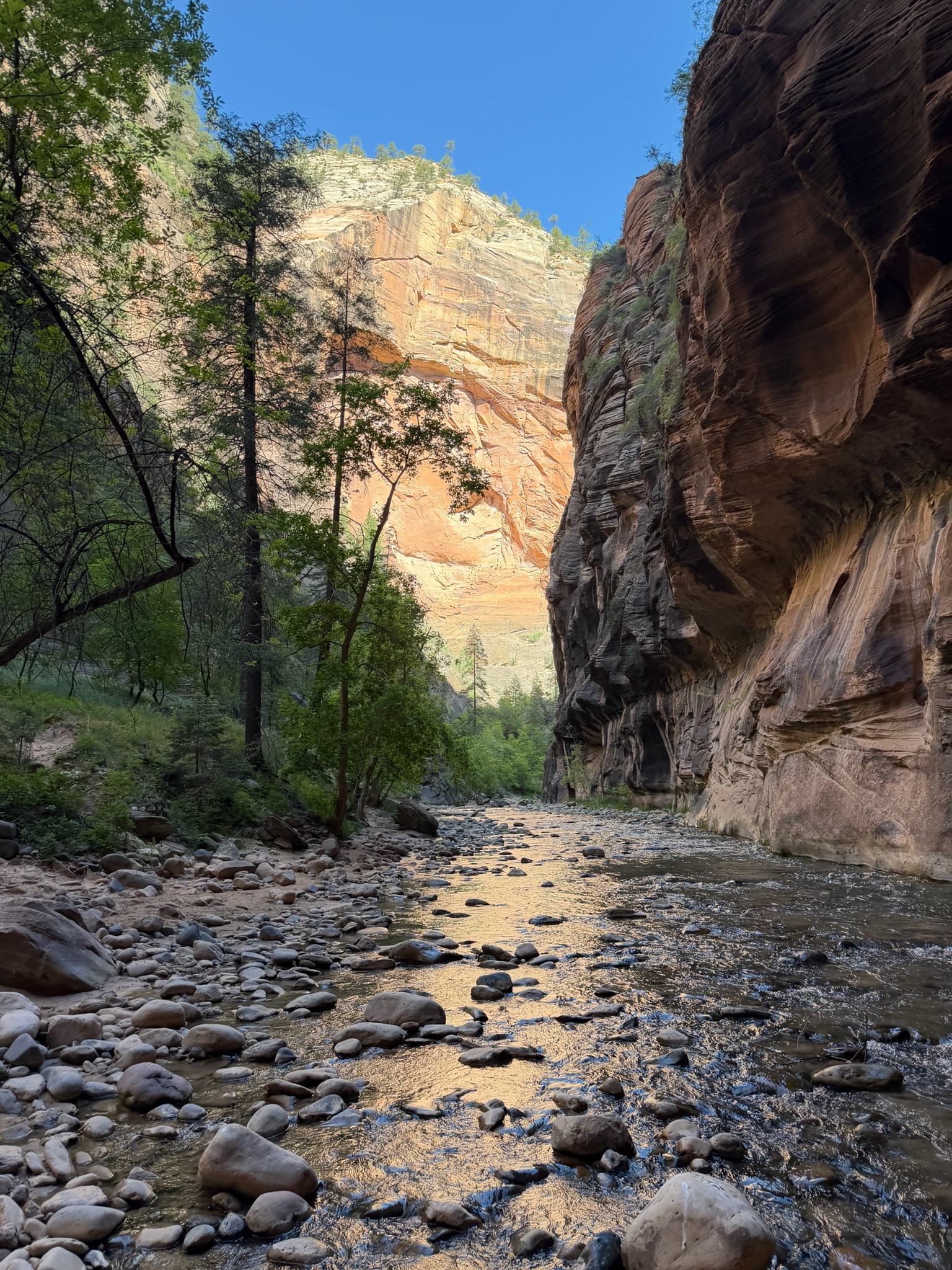 The Narrows