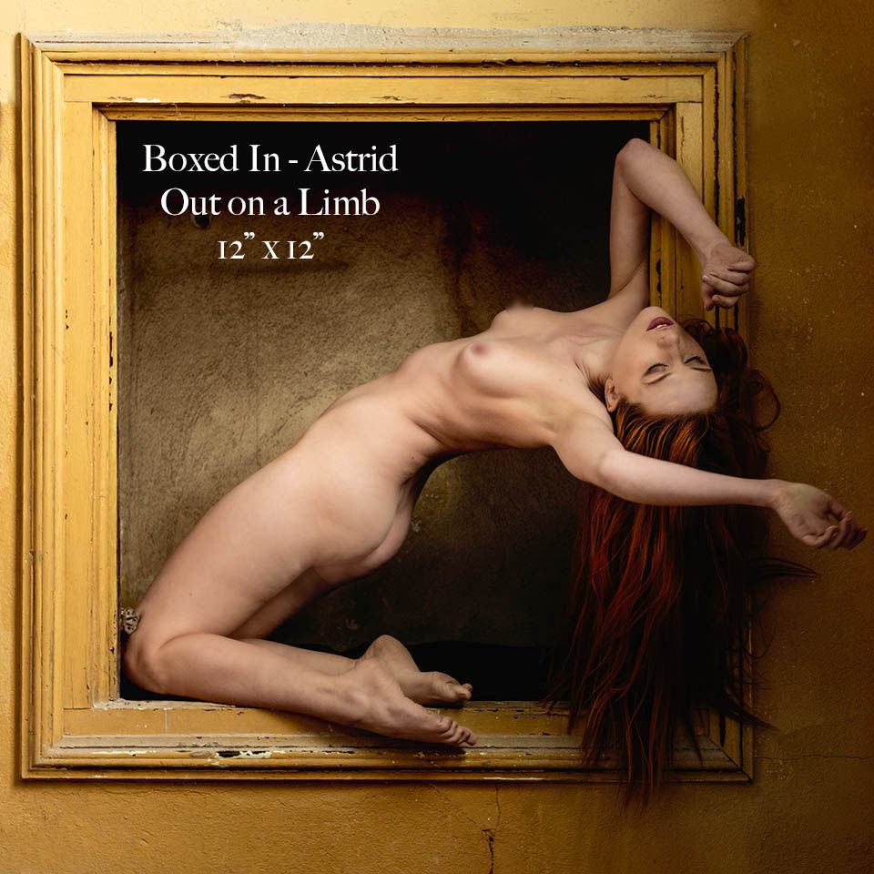 Boxed In - Astrid - Out on a Limb