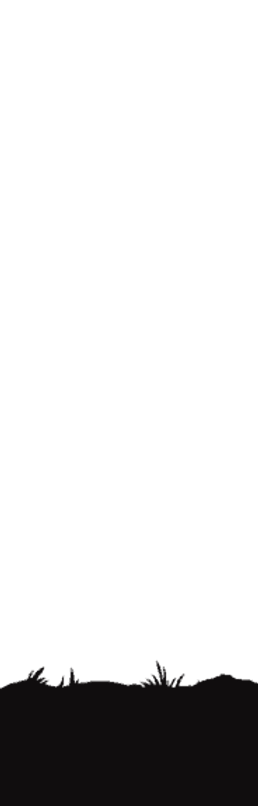 HeyDay-Parralax-Icon-2.png