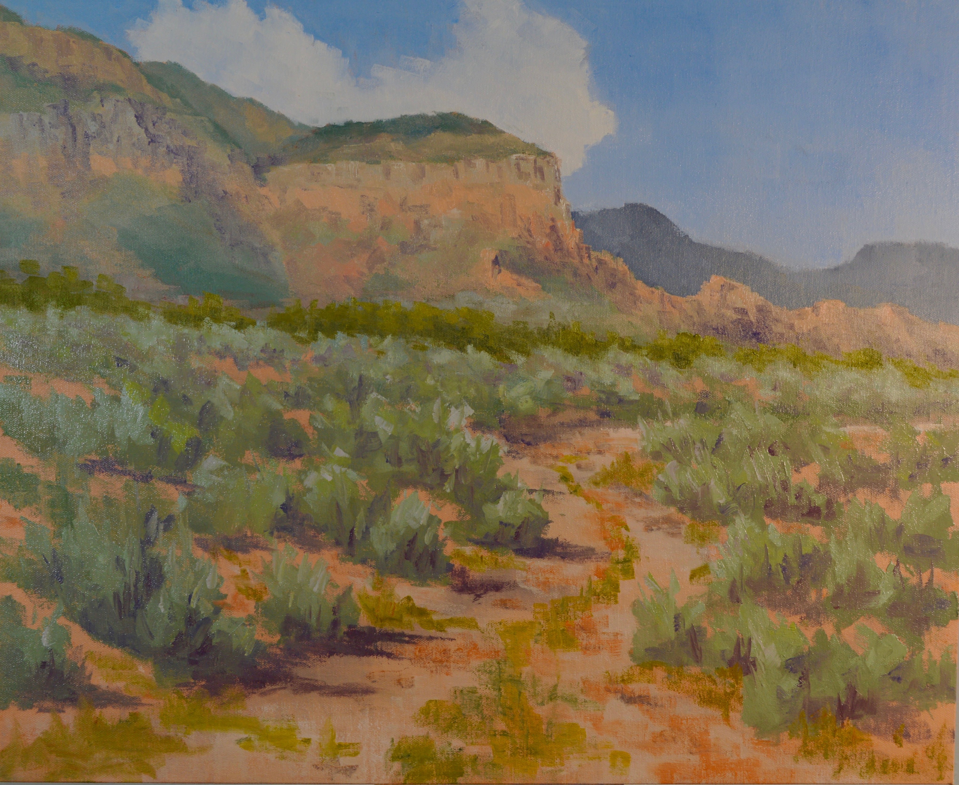 Chama River Road Vista