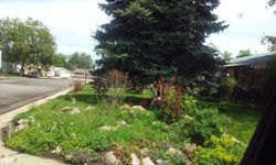 Picasa - 20150523_141255.jpg