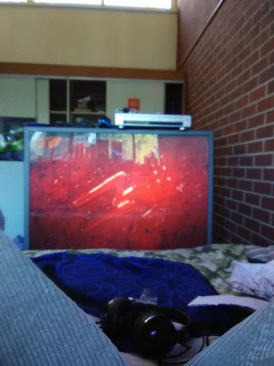 41658959_463901774018172_326657419772742