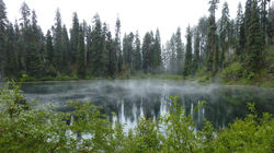 Picasa - channels4_banner.jpg